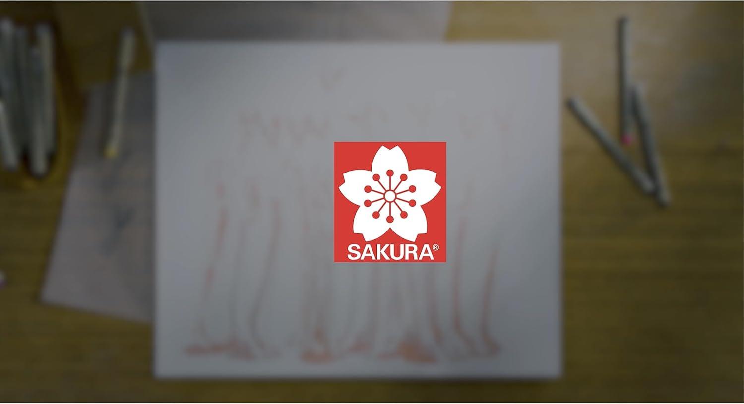 SAKURA Pigma Sketch Brush – Archival Ink Sketching Pens – Art Pens for Calligraphy, Hand Lettering & Writing – Assorted Archival Colors – 8 Pack - view 6