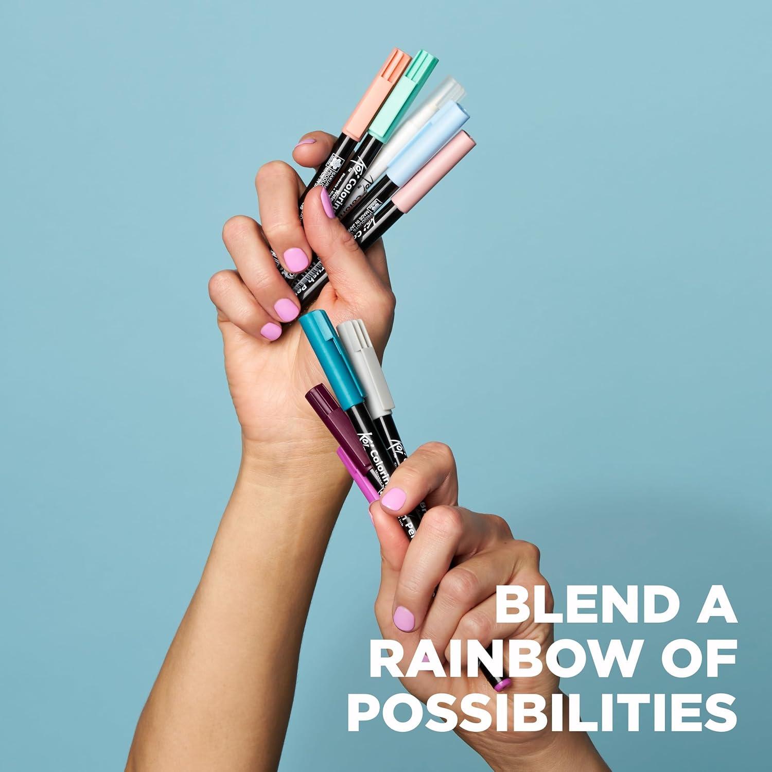 SAKURA XBR-12SA 12-Piece Koi Assorted Coloring Brush Pen Set(Gray) - view 4
